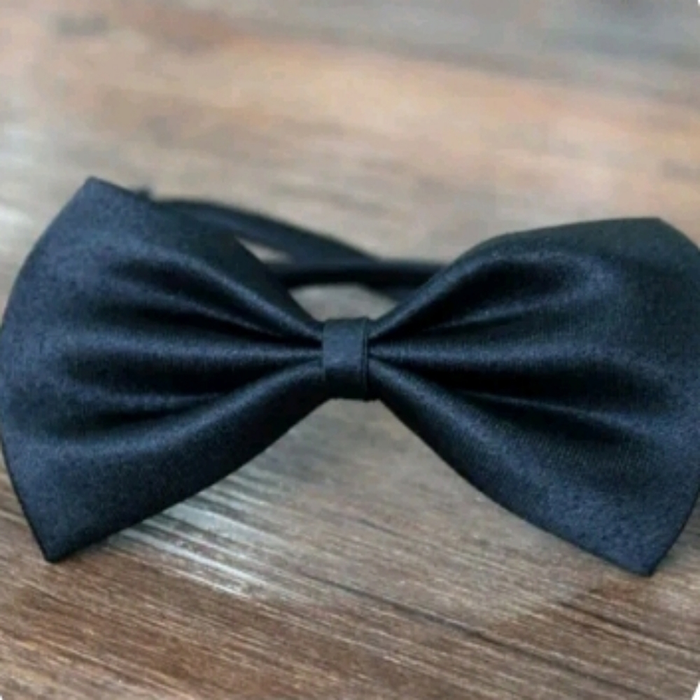 🐶 Black Dog Bowtie